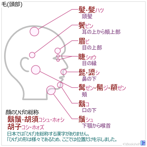 毛(頭部)