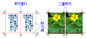 断ち割り・二重断ち