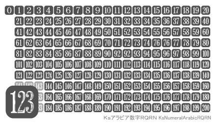 アラビア数字角丸四角付白抜ローマン
