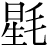 星+毛