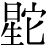 星+它