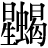 星+蝎