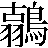 【｛古＊羽（旧字体）｝＋鳥】